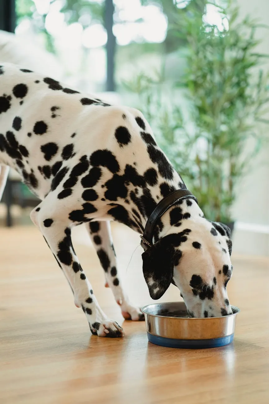 Nourriture canine premium
