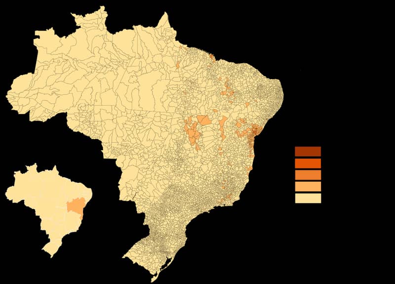Photo de Brazilian Tracker